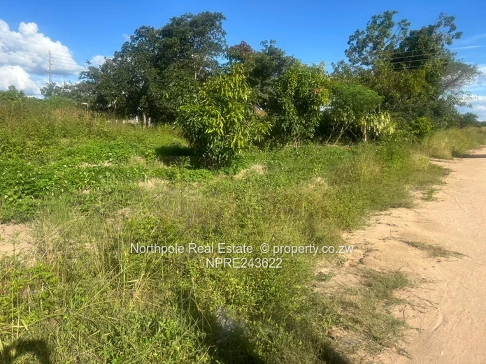 Ruwa Hunter Rest Stand For Sale