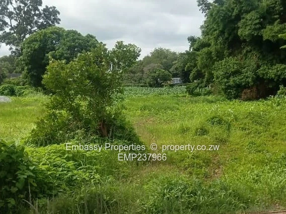 Investment with higher return