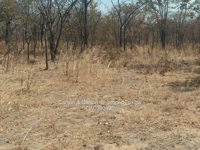 15Ha Farm & Agricultural Land in Mhondoro Ngezi with ZESA (Sole Mandate)