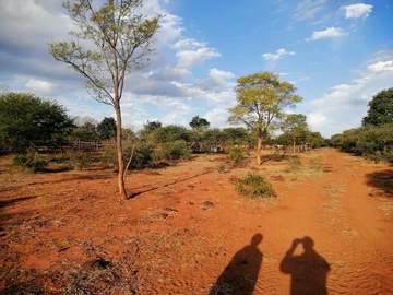 Farm & Agricultural Land