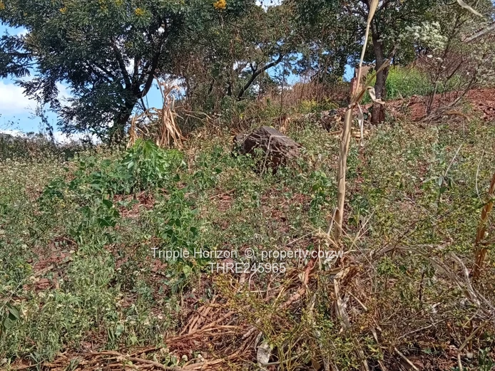 399m² Elevated Stand in Cold Comfort — Tarred Rd, Water & Sewer