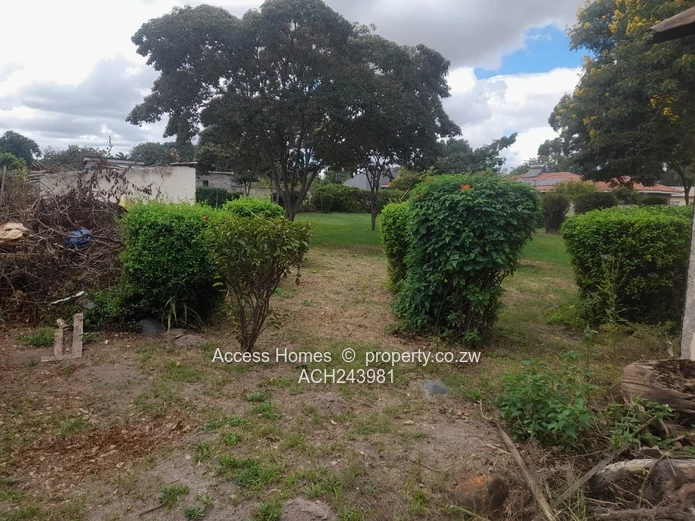 Hatfield Stand for Sale