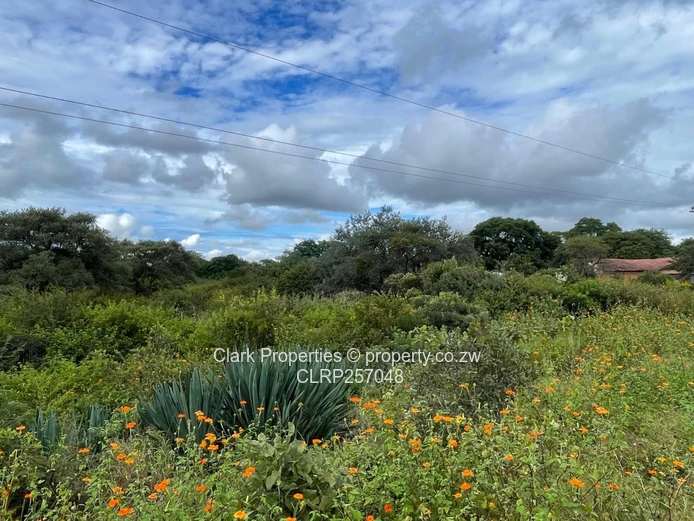A Private Sanctuary In The Heart Of Bulawayo (Sole Mandate)