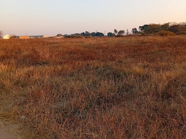 Commercial & Industrial Land