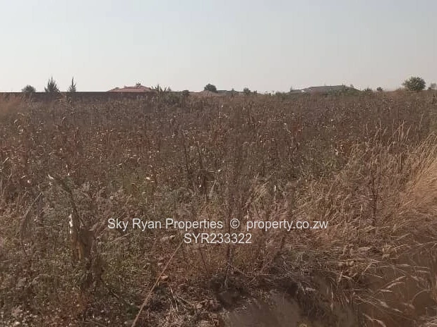 Pomona Stand For Sale