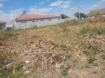 Stands & Residential Land