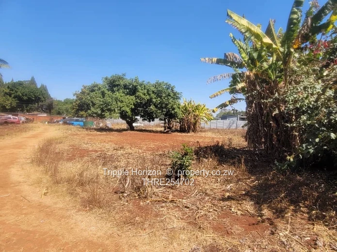 Hatfield Development Opportunity: 4-Bed on 3,127 sqm
