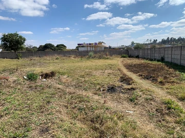 Commercial & Industrial Land
