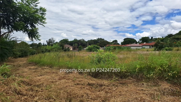 Quinnington, Helensvale 135K
