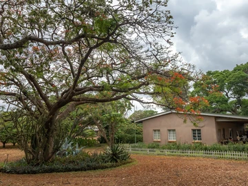 Farm & Agricultural Land