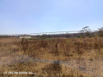 Farm & Agricultural Land