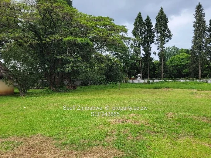 Spacious 4-Bed Marlborough Home on 9,070 m² with a Cottage