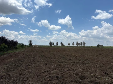 Farm & Agricultural Land