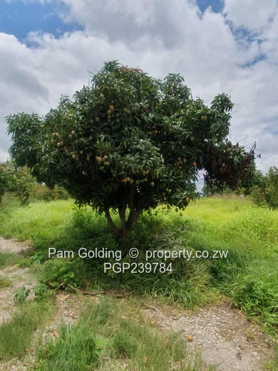 2.1016 hectares (5.19acres) Agro/Residencial Stand  with title Deeds (Sole Mandate)