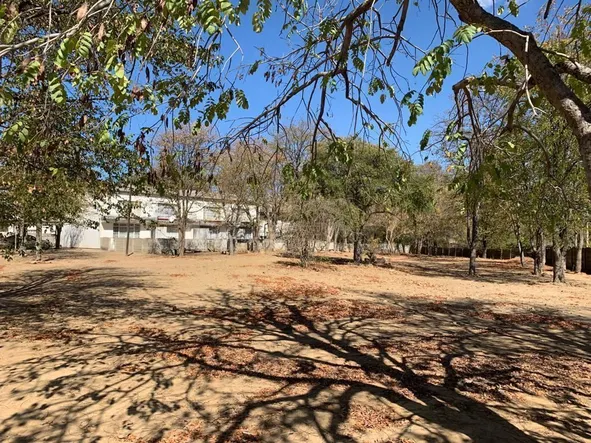 2 Bedroom Flat & Apartment