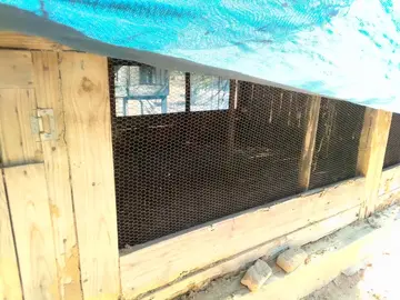 Farm & Agricultural Land