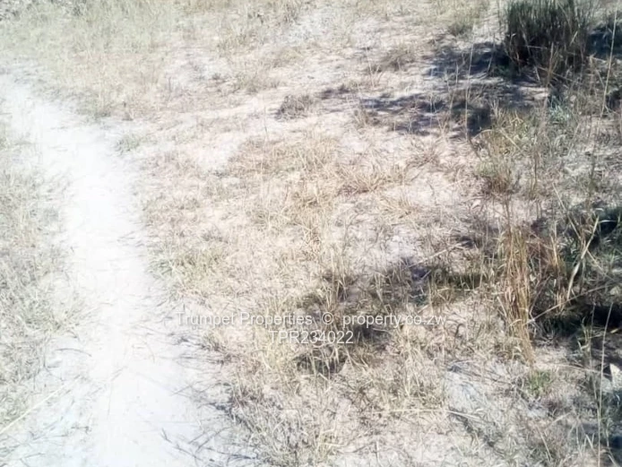 Plot For Sale (Sole Mandate)