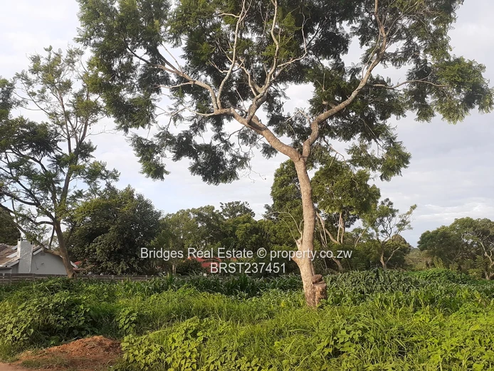 Property Development 101! The stuff of dreams!