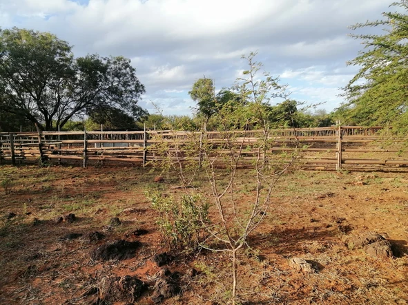 Farm & Agricultural Land