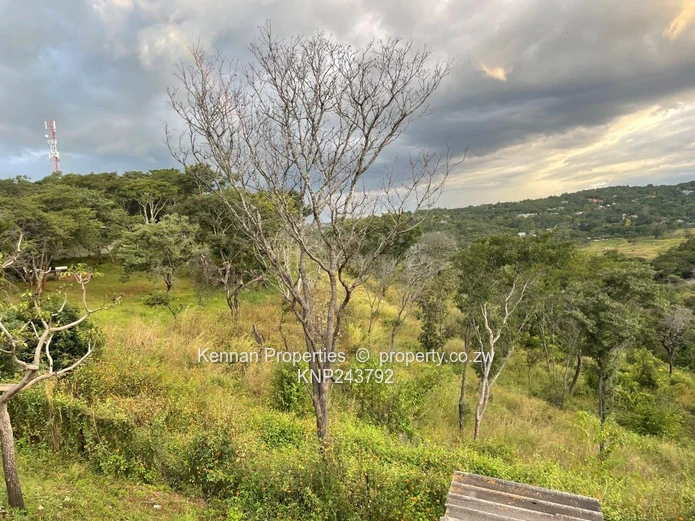 Helensvale - Just listed  - 2 stands for sale with views  	