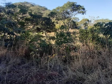 Farm & Agricultural Land