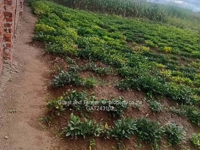 Industrial Land For Sale In Sandton Park 