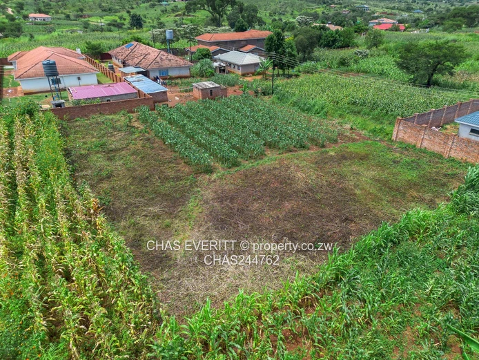 Charlotte brook Stand