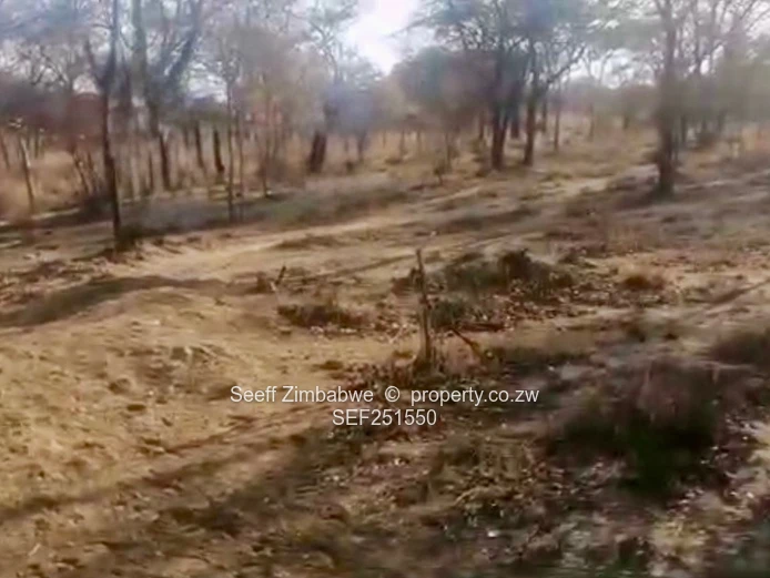 Prime Agri-Residential Plots in Kwekwe: Unleash the Potential!