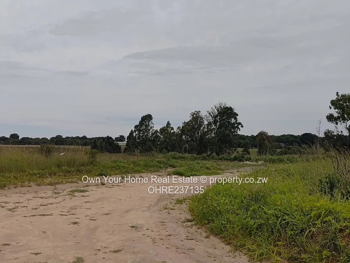 Greenskye Ruwa stands for sale 