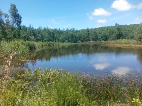 Farm & Agricultural Land