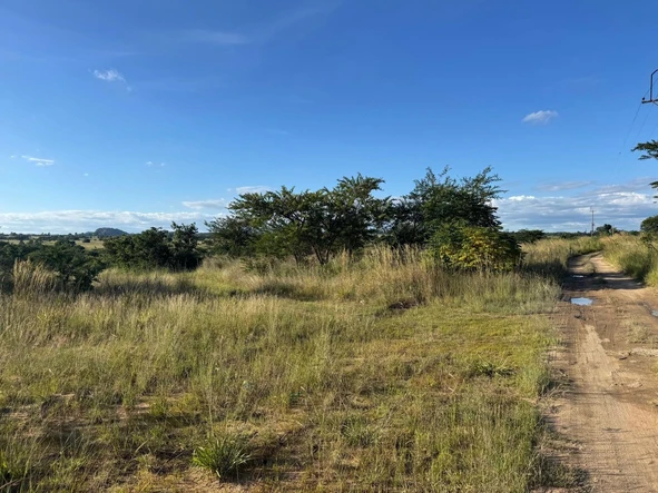 Commercial & Industrial Land