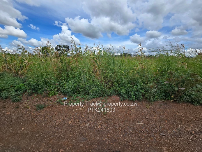 Ready to build stand in Warren Park D