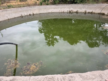 Farm & Agricultural Land