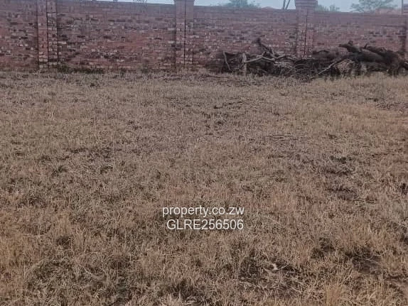 2.1ha Gletwin Park Stand - Garden, Trees & Subdivision Potential