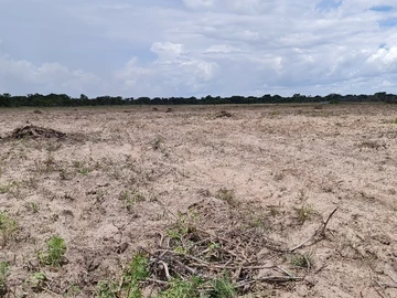 Farm & Agricultural Land