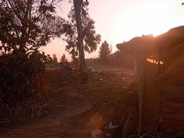 Stands & Residential Land