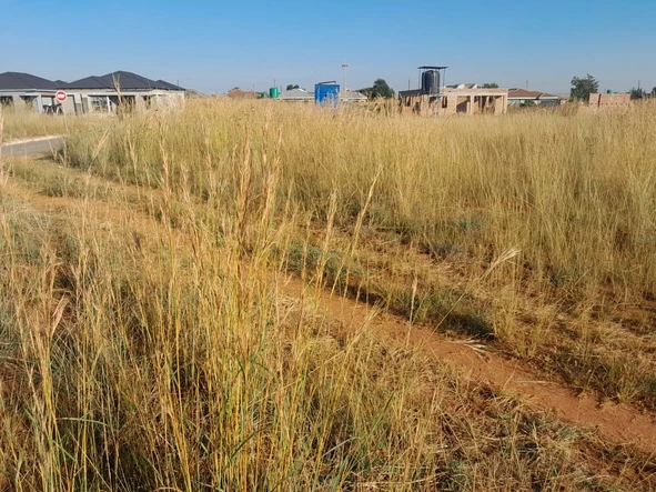 Land