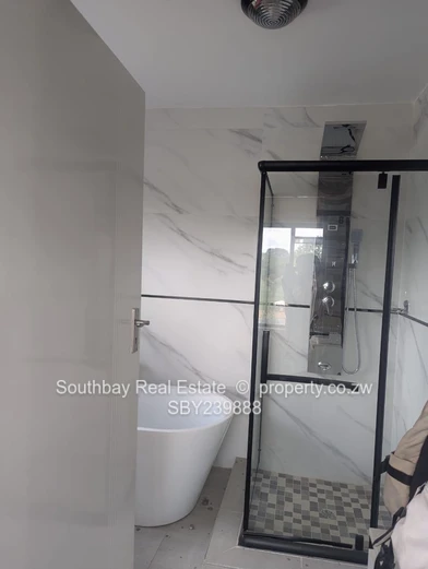 Investment Opportunity