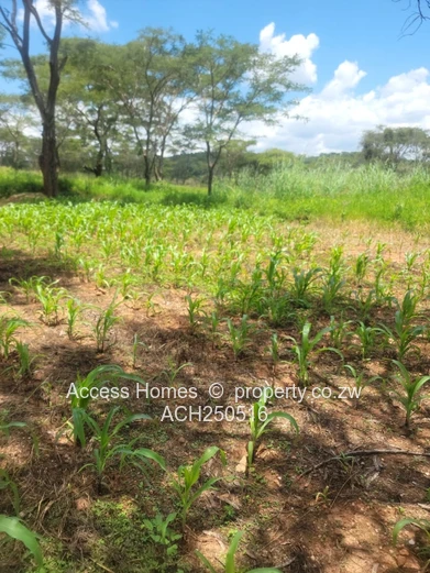 Glenforest agro residential plot 