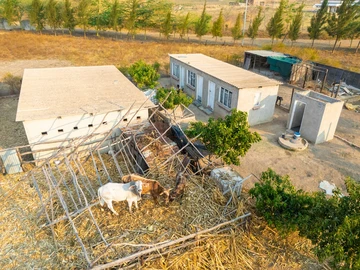 Farm & Agricultural Land