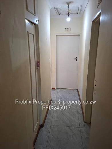 Msasa Investment opportunity