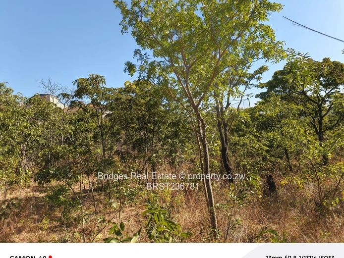 Awesoment investment