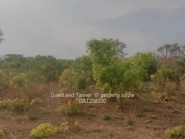 432m² RESIDENTIAL STAND for SALE| TYNWALD