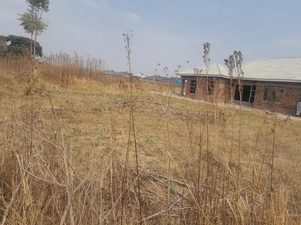 Stands & Residential Land