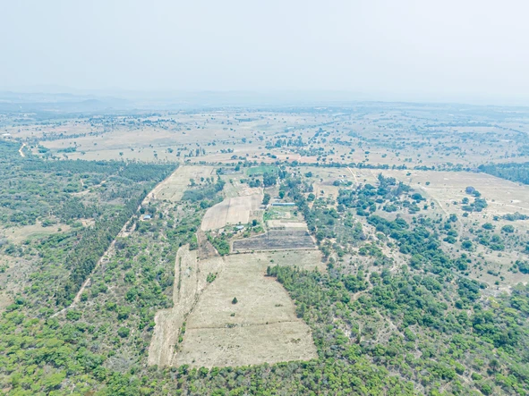 Farm & Agricultural Land