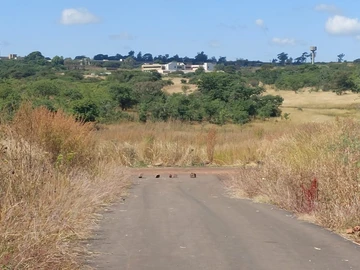 Buckland Terraces (Pomona) – Stands For Sale