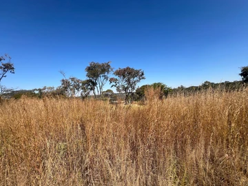 Farm & Agricultural Land