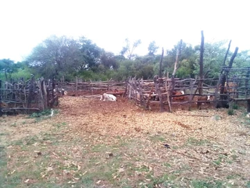 Farm & Agricultural Land