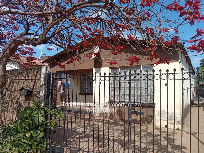 Sunlit 4-Bed Home in Warren Park D- Borehole (Sole Mandate)