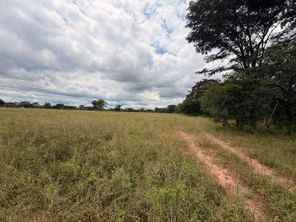 Farm & Agricultural Land